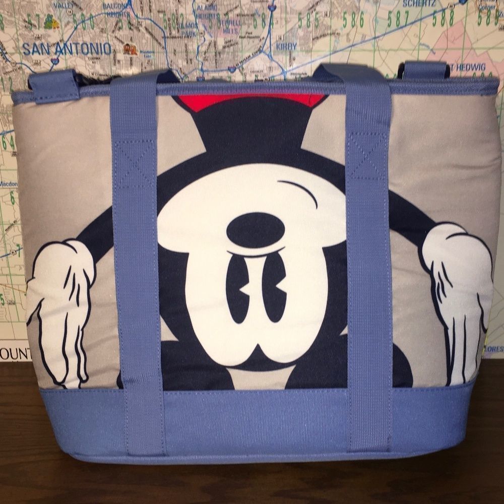 Disney Mackey Mouse. ice cooler fits a 12 pack very roomy insula